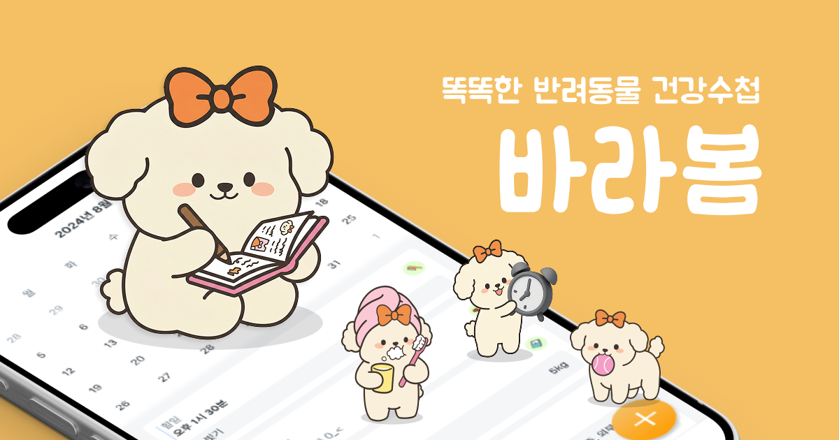 바라봄 앱 소개 이미지